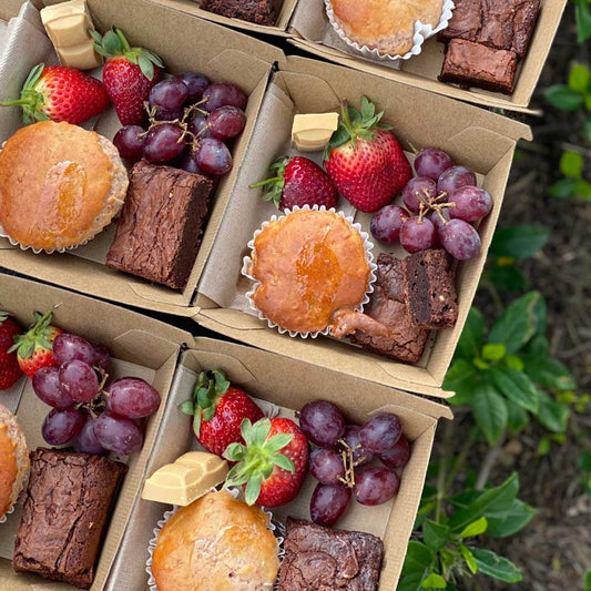 Individual Catering Boxes